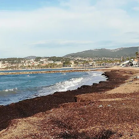 Rez De Six-fours شقة *